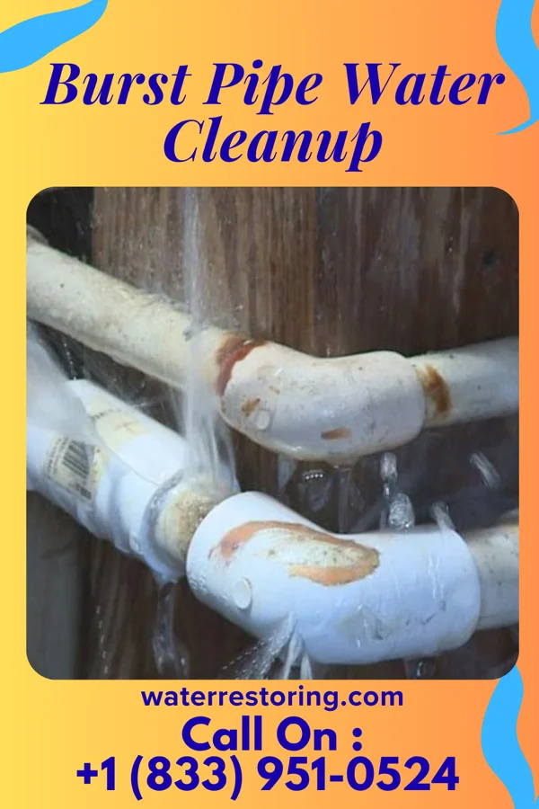Burst Pipe Water Cleanup in Sanford, TX