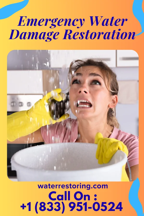 Emergency Water Damage Restoration in Sanford, TX