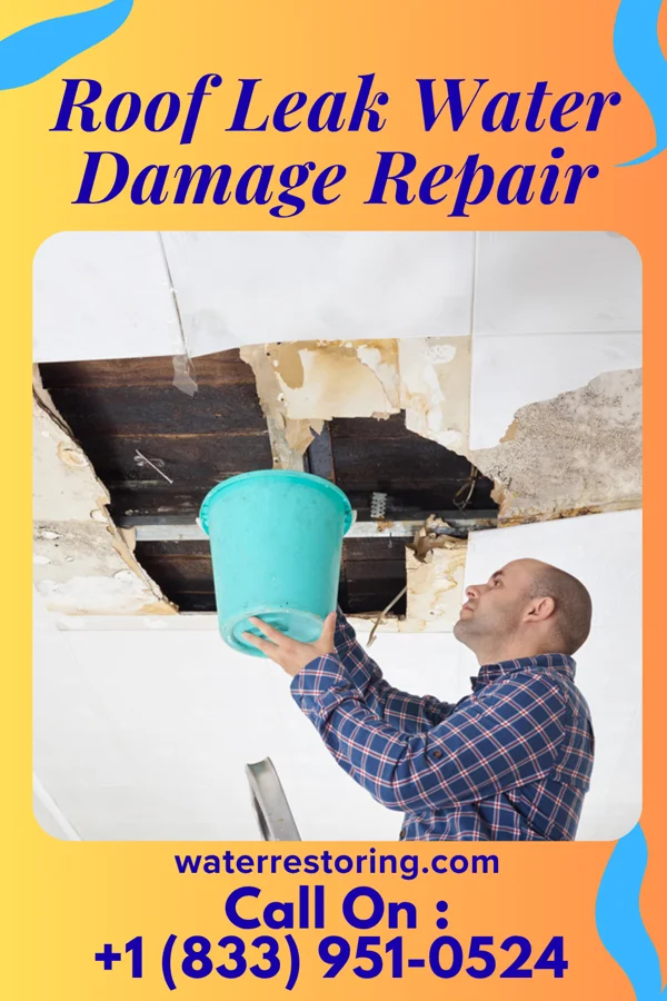 Roof Leak Water Damage Repair in Sanford, TX